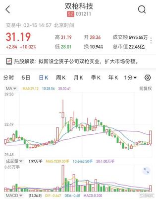 雙槍科技擬新設全資子公司雙槍實業，股價強勢漲停